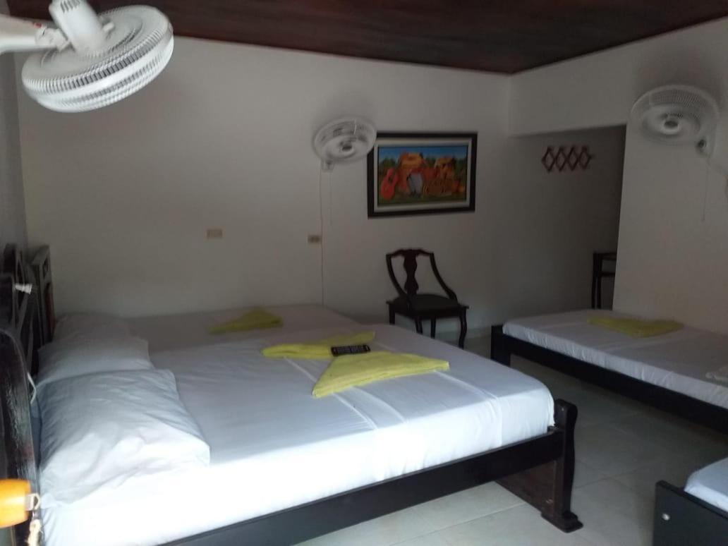 Hostel Cattleya Palomino Exterior photo