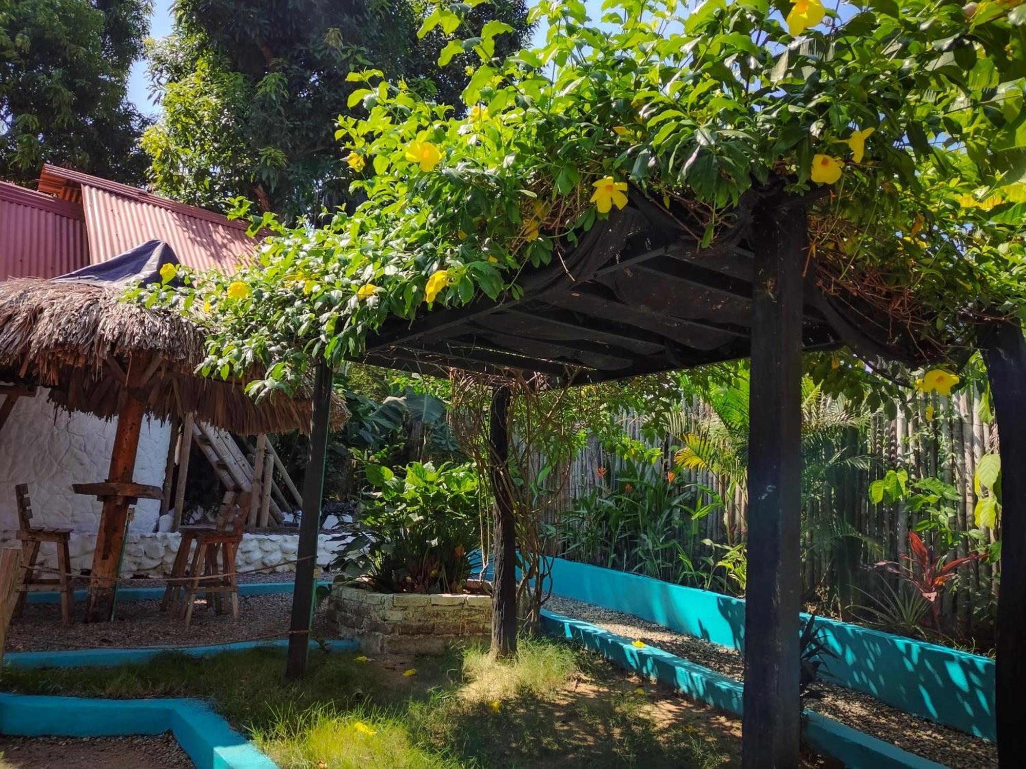Hostel Cattleya Palomino Exterior photo