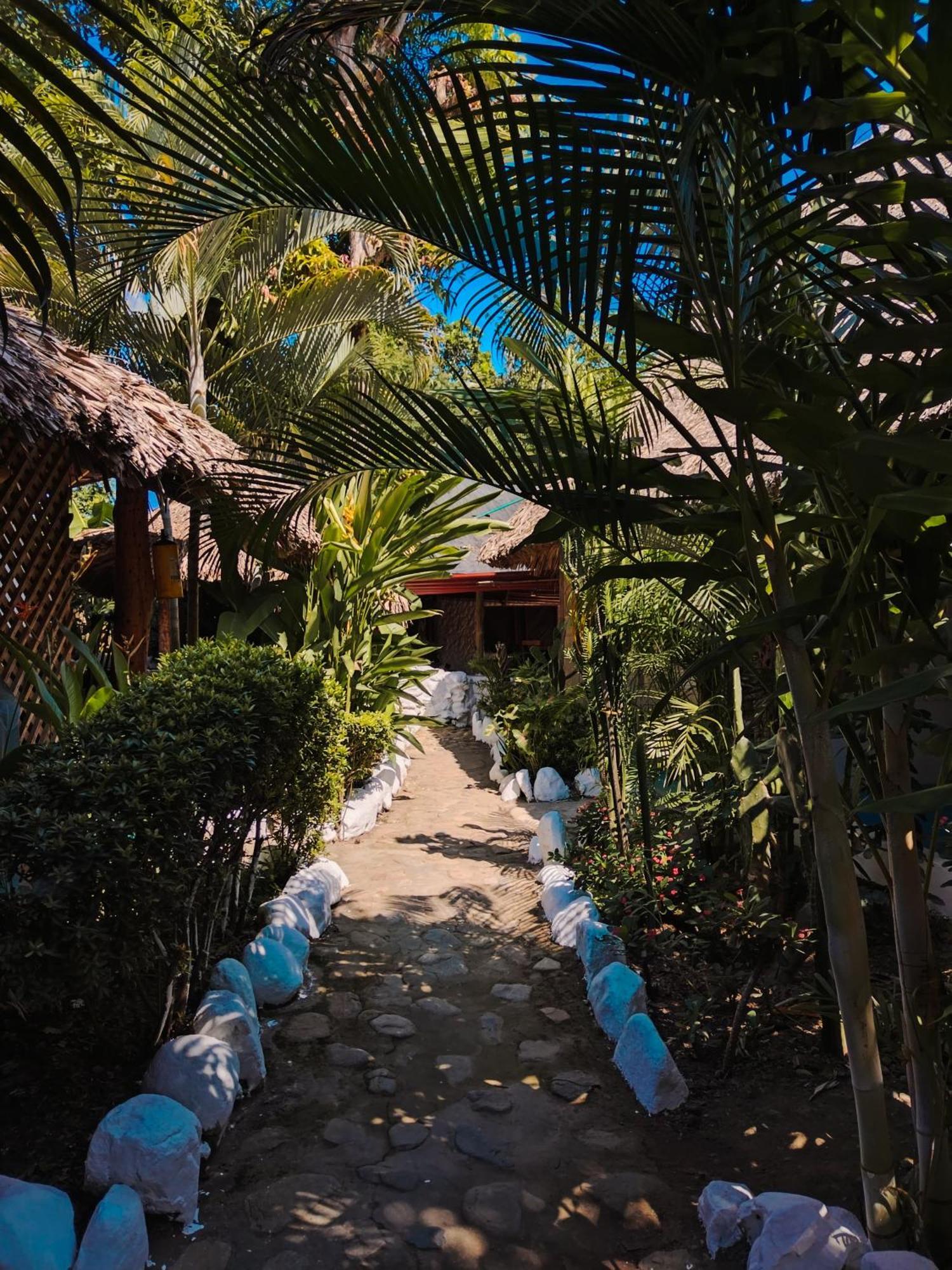 Hostel Cattleya Palomino Exterior photo