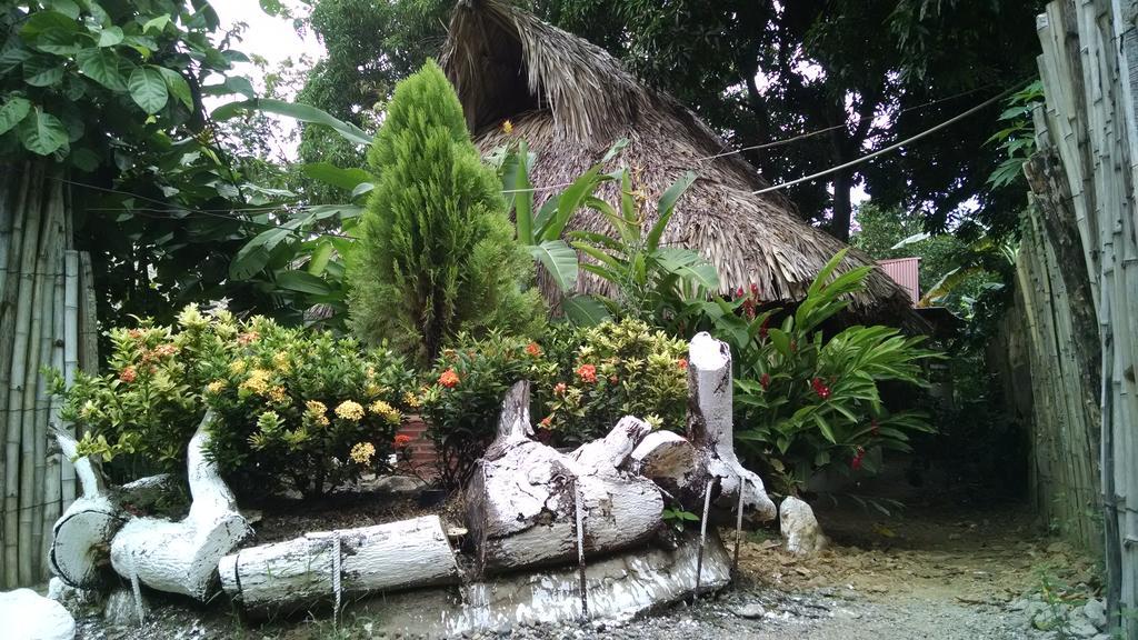 Hostel Cattleya Palomino Exterior photo