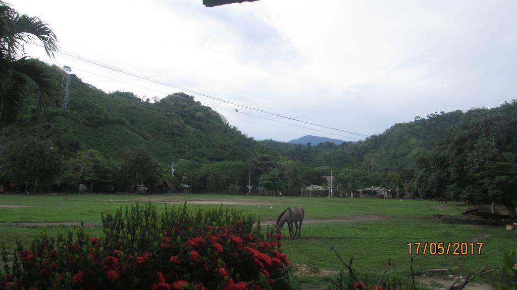 Hostel Cattleya Palomino Exterior photo