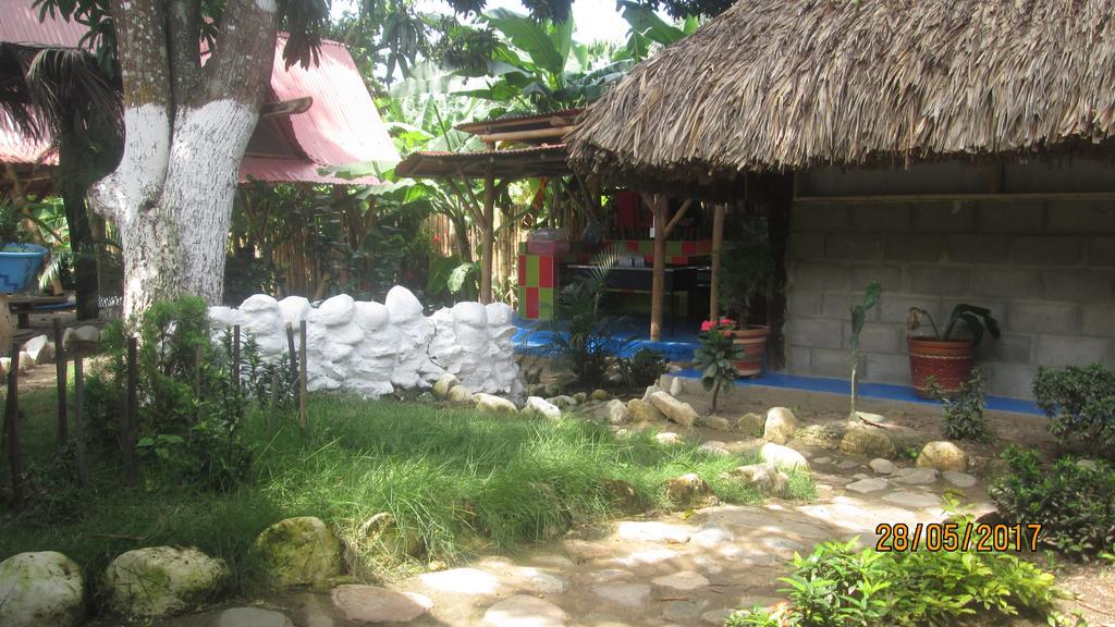 Hostel Cattleya Palomino Exterior photo