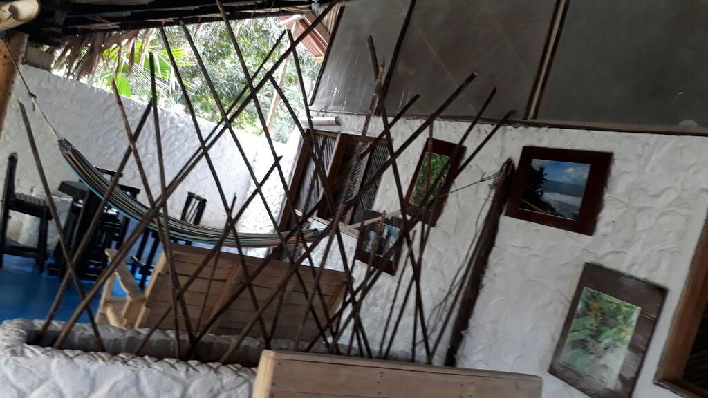 Hostel Cattleya Palomino Exterior photo